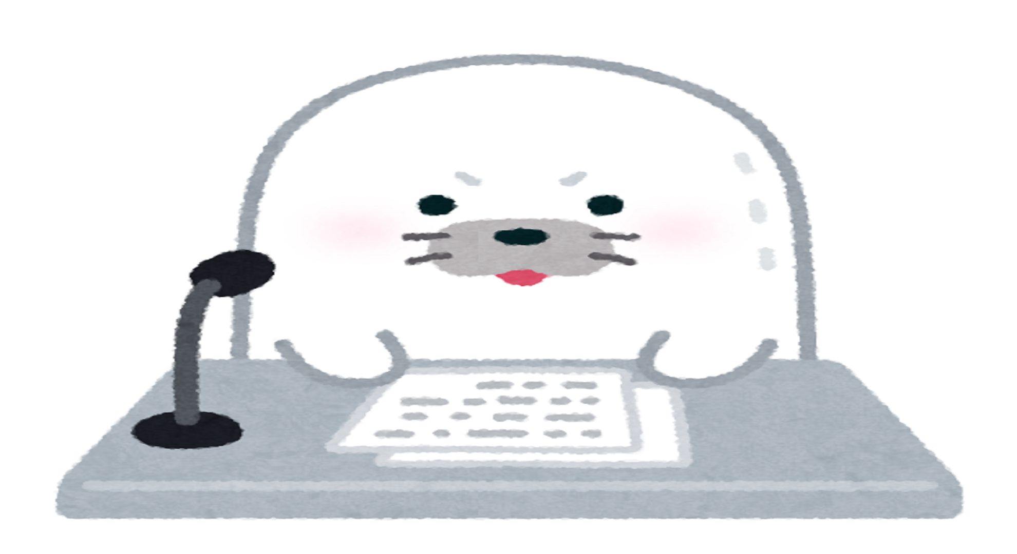 ローカルカメラ